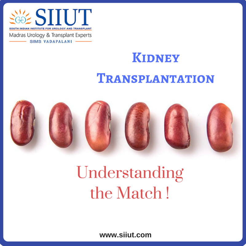 kidney transplantation in chennai